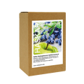 Apfel-Haskapbeeren-Saftkonzentrat 1,5L