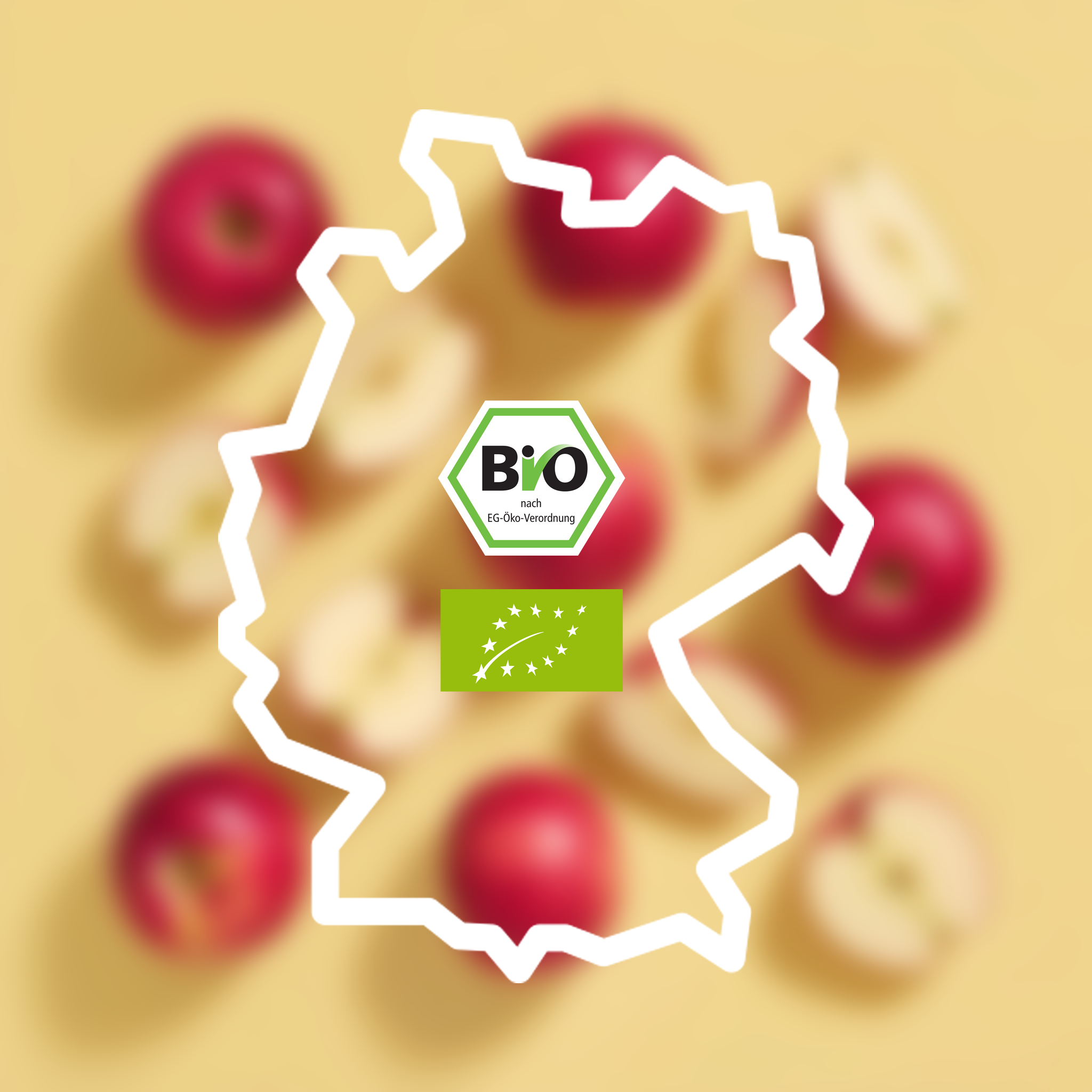 Bio Apfelsaftkonzentrat 3L trüb