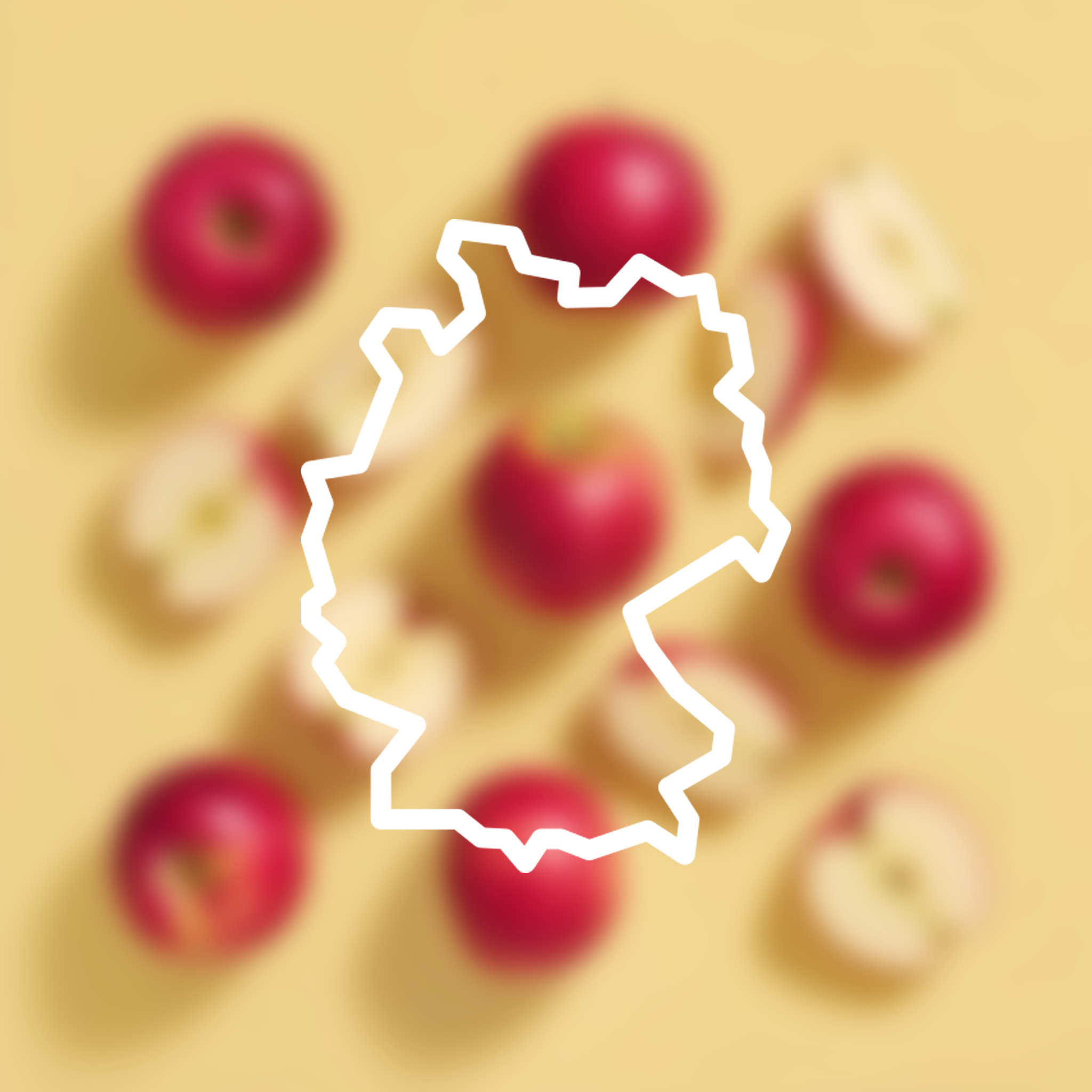 Apfelsaftkonzentrat 3L klar