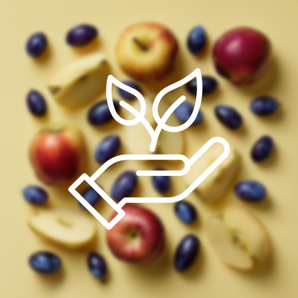 Apfel-Haskapbeeren-Saftkonzentrat 1,5L