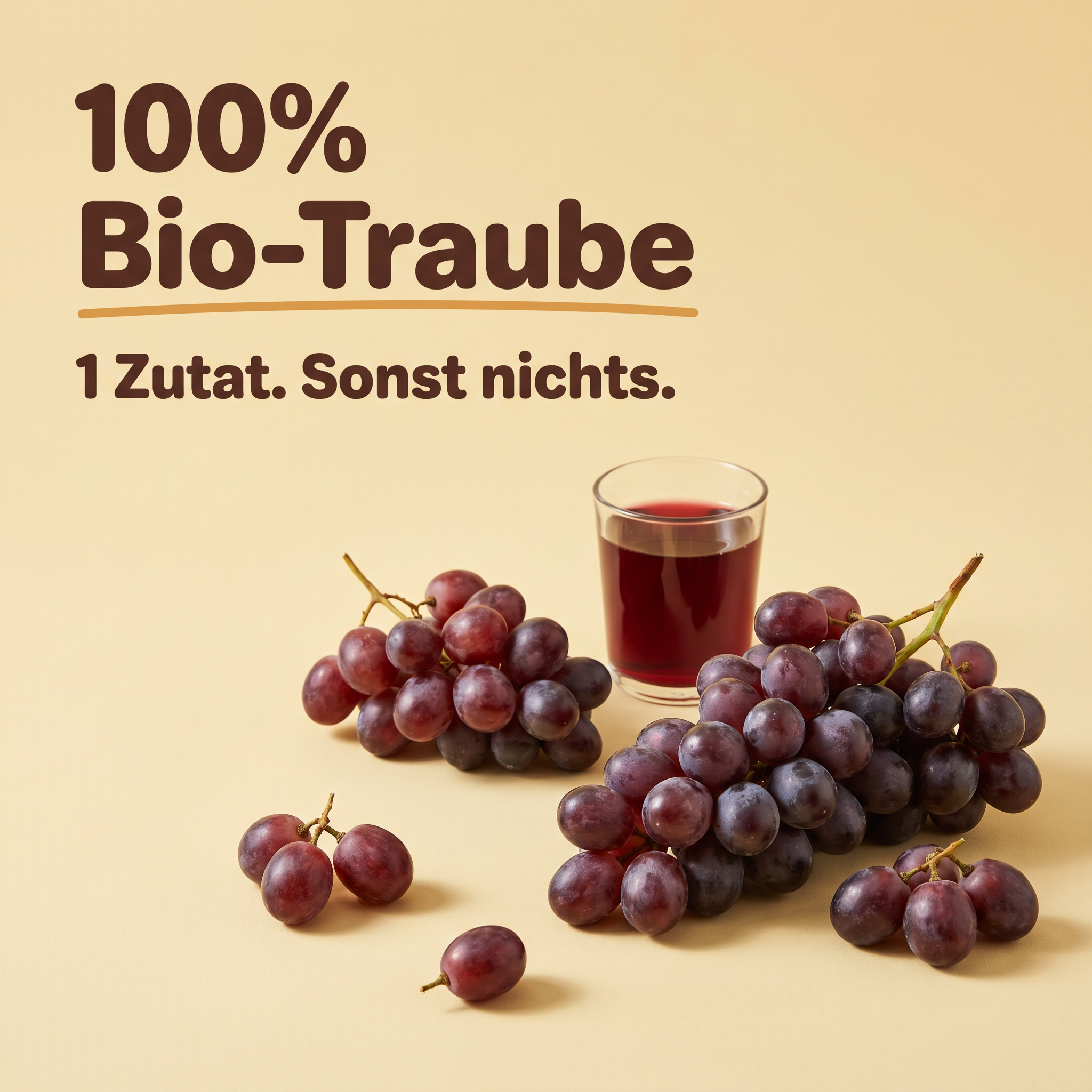 Bio Traubensaftkonzentrat 1,5L